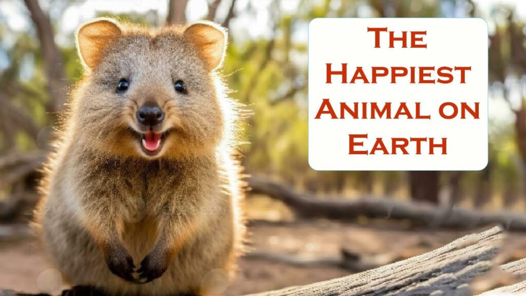 What Is the Happiest Animal in the World? Exploring the Joy of Animal Life